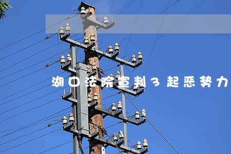 湖口法院宣判3起恶势力犯罪案