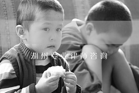 湖州专业律师咨询 湖州专业律师咨询