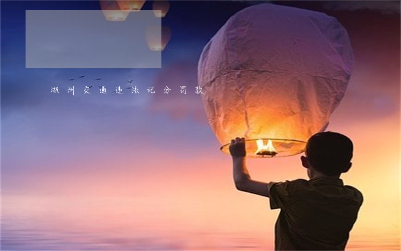 湖州交通违法记分罚款