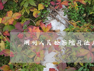 湖州人民检察院司法雇员 湖州人民检察院司法雇员