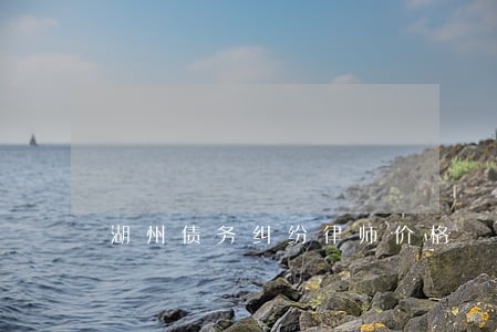 湖州债务纠纷律师价格 湖州债务纠纷律师价格