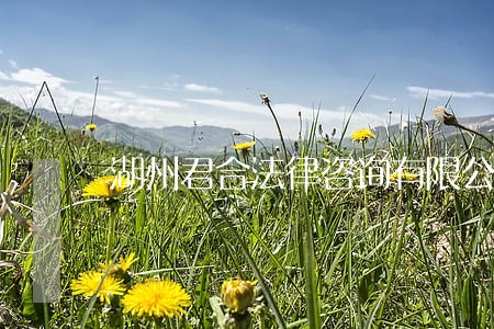 湖州君合法律咨询有限公司