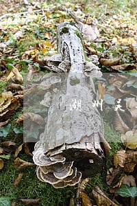 湖州吴兴好的见证商事合同律师 湖州吴兴好的见证商事合同律师