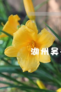 湖州吴兴法院董赟