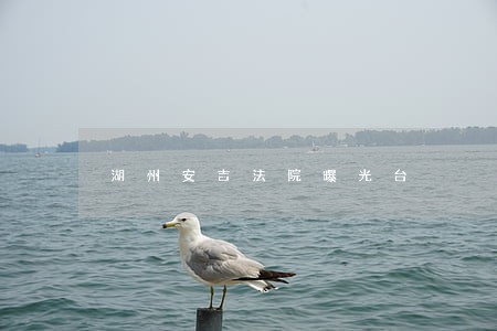 湖州安吉法院曝光台