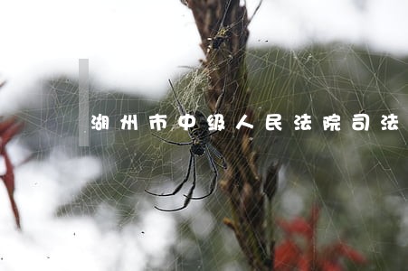 湖州市中级人民法院司法雇员
