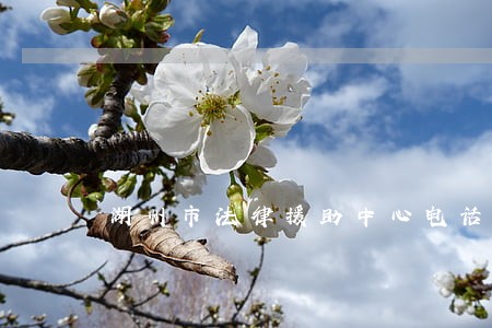 湖州市法律援助中心电话地址 湖州市法律援助中心电话地址