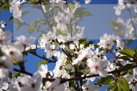 湖州律师事务所 湖州律师事务所