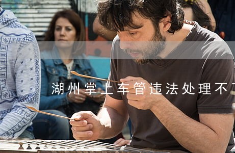 湖州掌上车管违法处理不了