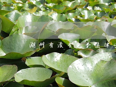 湖州有没有免费法律咨询
