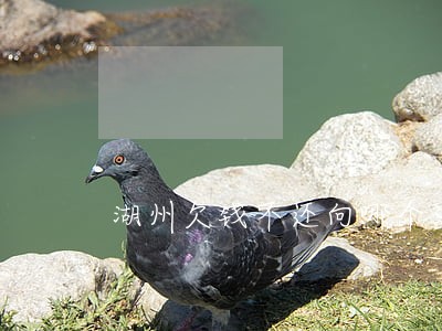 湖州欠钱不还向哪个法院起诉
