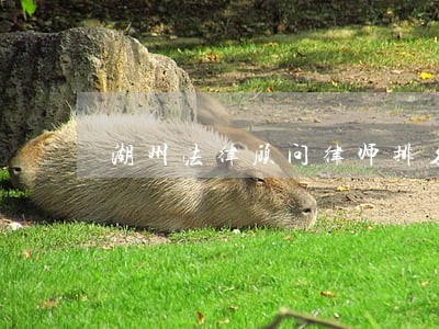 湖州法律顾问律师排名 湖州法律顾问律师排名