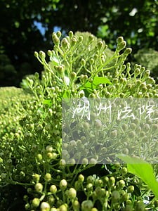 湖州法院厂房拍卖网