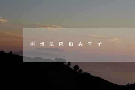 湖州法院拍卖车子