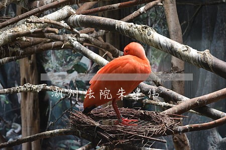 湖州法院朱建伟 湖州法院朱建伟