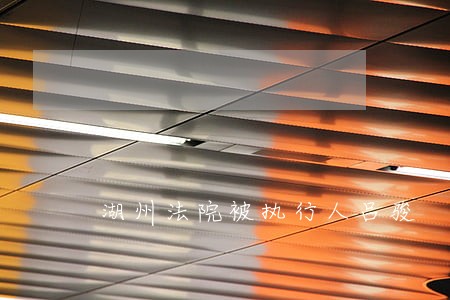 湖州法院被执行人吕骏 湖州法院被执行人吕骏