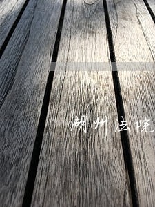 湖州法院马丽媛