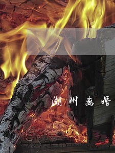 湖州离婚律师事务所 湖州离婚律师事务所