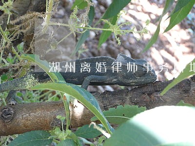 湖州离婚律师事务所地址 湖州离婚律师事务所地址