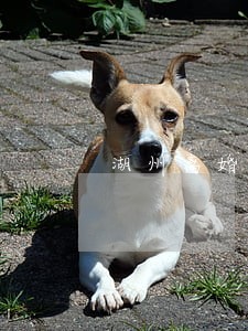 湖州离婚律师哪家好 湖州离婚律师哪家好