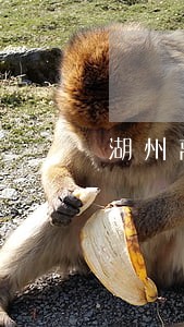 湖州离婚律师大概多少钱 湖州离婚律师大概多少钱