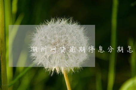 湖州网贷逾期停息分期怎么协商 湖州网贷逾期停息分期怎么协商