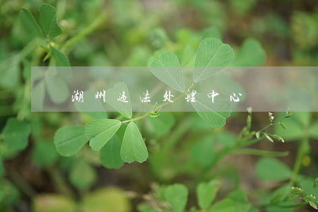 湖州违法处理中心