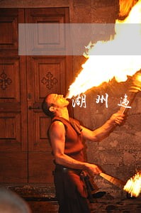 湖州违法处理查询 湖州违法处理查询