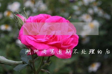 湖州酒驾逾期不处理的后果 湖州酒驾逾期不处理的后果