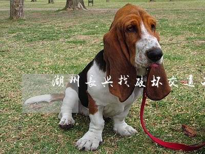 湖州长兴找破坏交通工具罪律师 湖州长兴找破坏交通工具罪律师