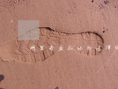 湖里专业征地拆迁律师 湖里专业征地拆迁律师