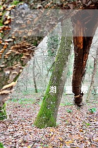 湖里房产律师公司电话 湖里房产律师公司电话