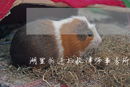 湖里拆迁征收律师事务所 湖里拆迁征收律师事务所