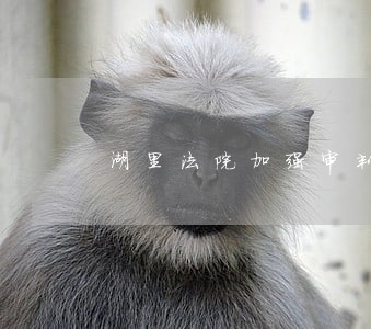 湖里法院加强审判执行工作 湖里法院加强审判执行工作