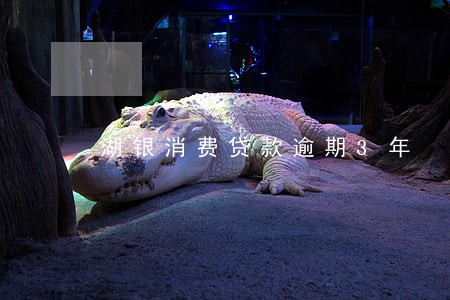 湖银消费贷款逾期3年