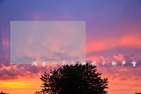 湘东一名正科级干部严重违法 湘东一名正科级干部严重违法