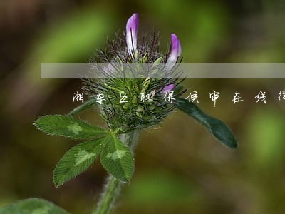 湘东区取保候审在线律师 湘东区取保候审在线律师
