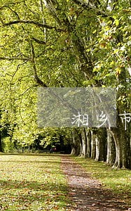 湘乡市法律援助的电话 湘乡市法律援助的电话