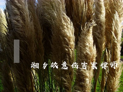湘乡故意伤害案律师 湘乡故意伤害案律师