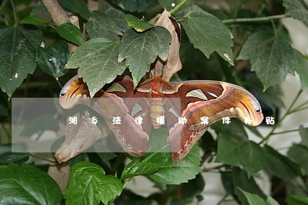 湘乡法律援助案件补贴 湘乡法律援助案件补贴