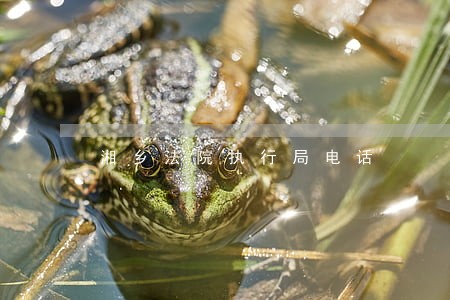 湘乡法院执行局电话 湘乡法院执行局电话