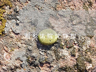 湘乡法院沈静辉 湘乡法院沈静辉