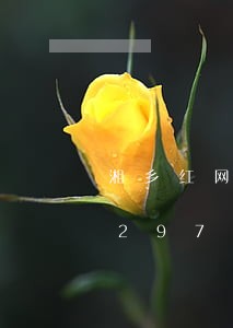湘乡红网洗砂违法人员/2023020429737 湘乡红网洗砂违法人员/2023020429737