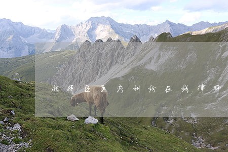 湘桥区医疗纠纷在线律师咨询
