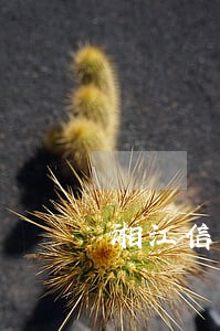 湘江信用卡逾期 湘江信用卡逾期