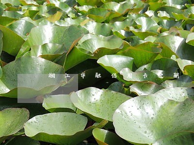 湘江华融信用卡逾期 湘江华融信用卡逾期