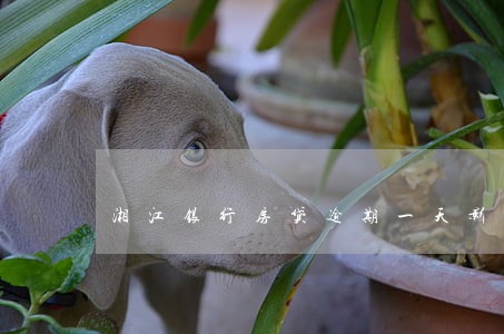 湘江银行房贷逾期一天影响征信吗 湘江银行房贷逾期一天影响征信吗