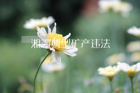 湘潭典型矿产违法