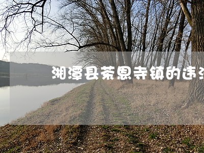 湘潭县茶恩寺镇的违法往事 湘潭县茶恩寺镇的违法往事