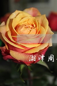 湘潭周兴律师